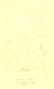 n256_w1150