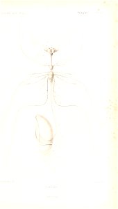 n20_w1150