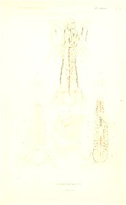n252_w1150