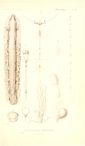 n50_w1150