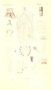 n16_w1150