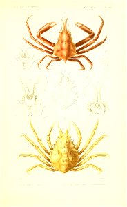 n128_w1150