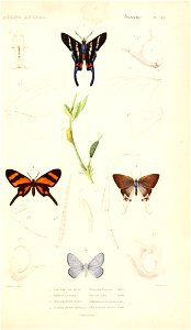 n106_w1150