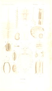 n12_w1150