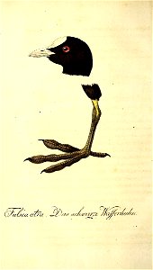 n593_w1150