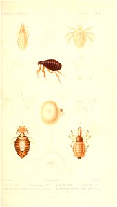 n68_w1150