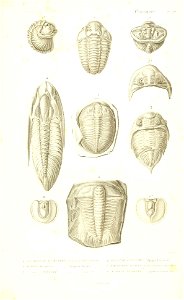 n360_w1150