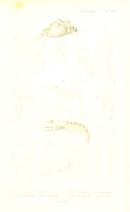 n240_w1150