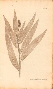 n412_w1150