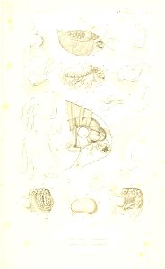 n332_w1150