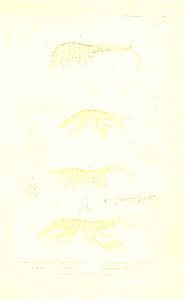 n272_w1150