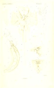 n32_w1150