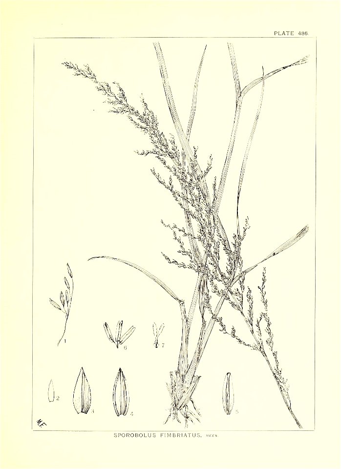 n286_w1150