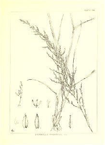 n286_w1150
