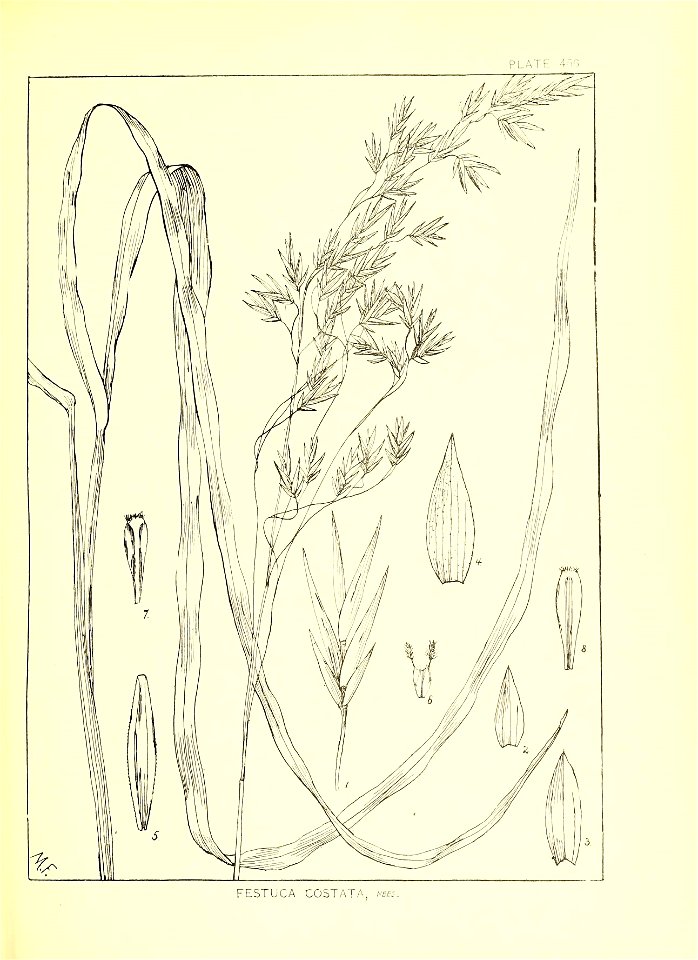 n190_w1150