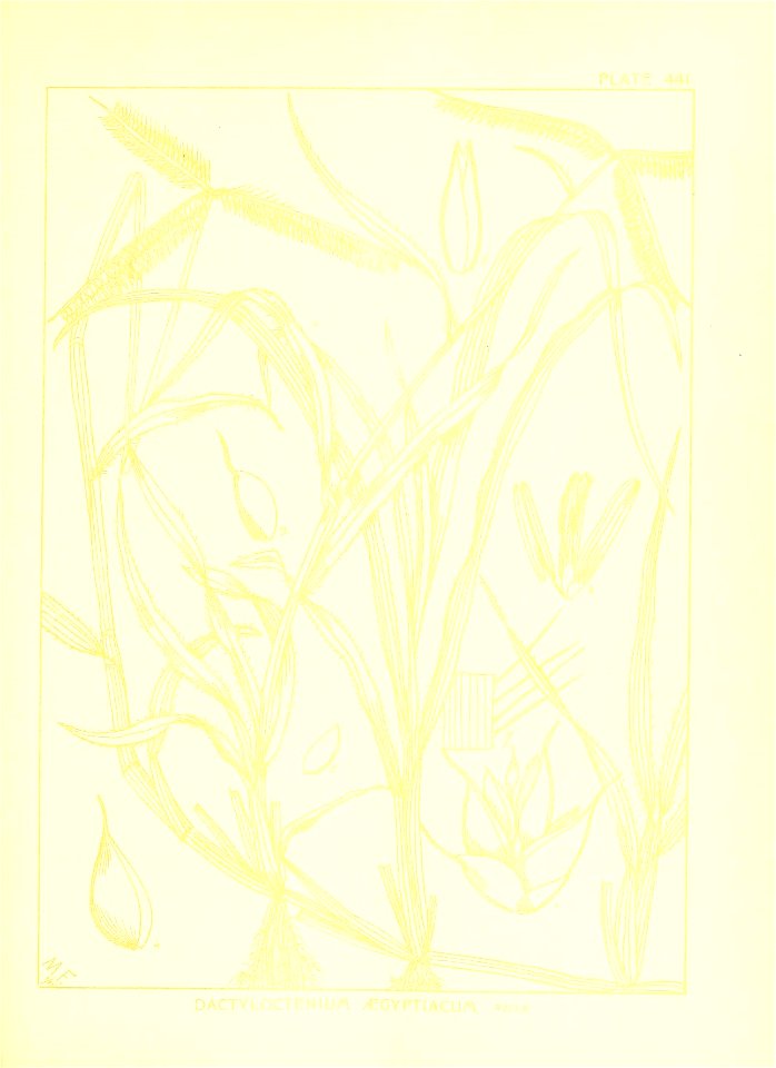 n140_w1150
