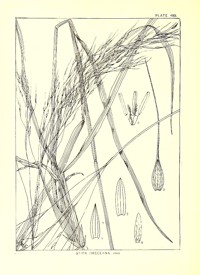 n283_w1150