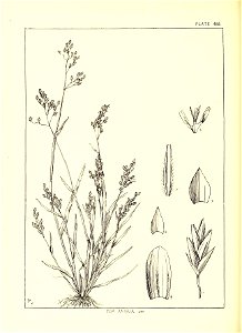 n187_w1150