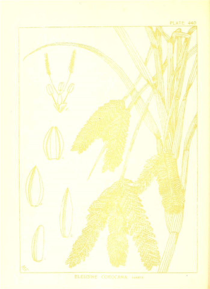 n137_w1150