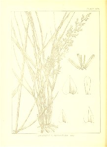 n87_w1150