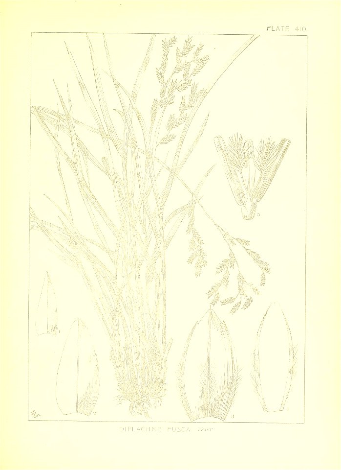 n42_w1150
