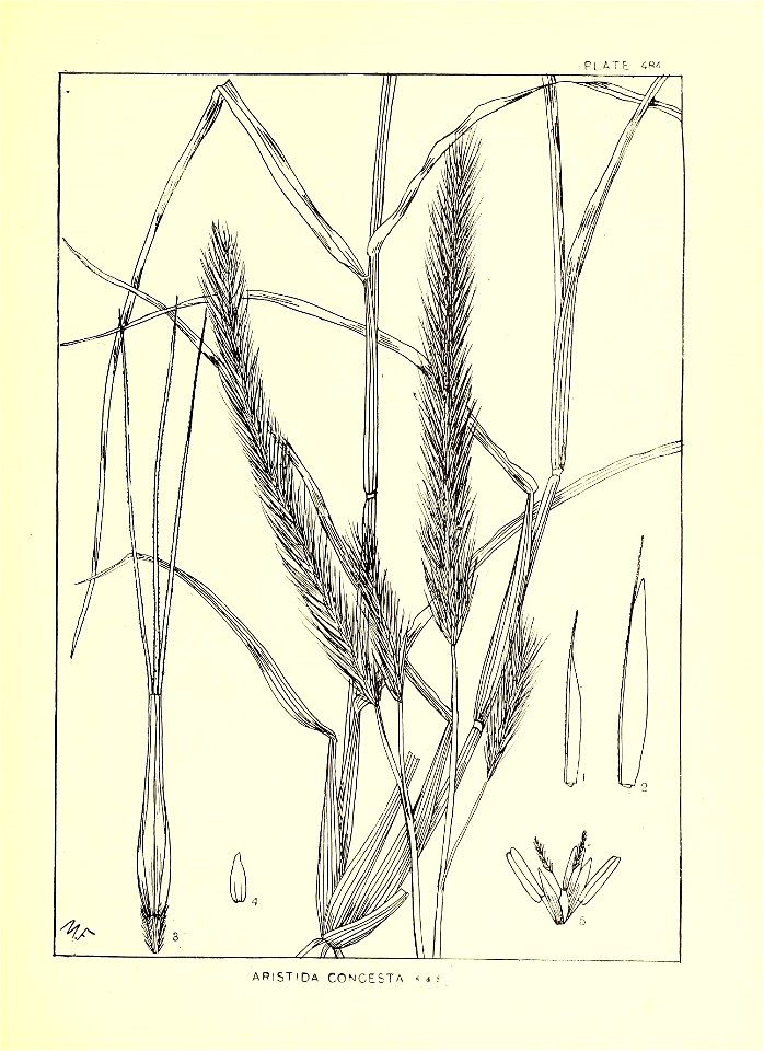 n280_w1150