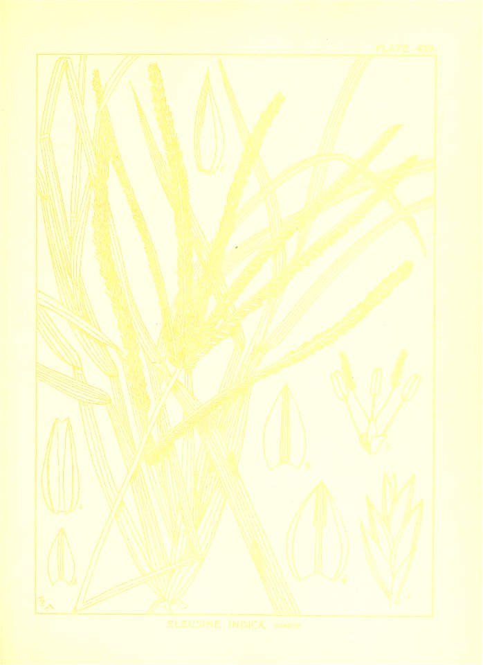 n134_w1150