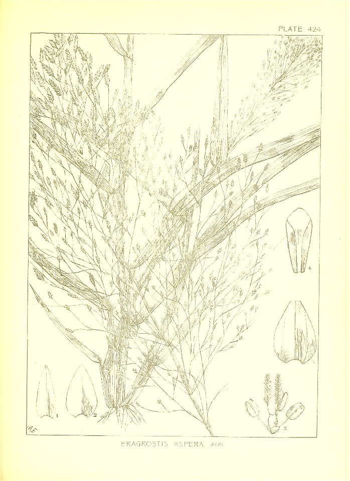 n84_w1150