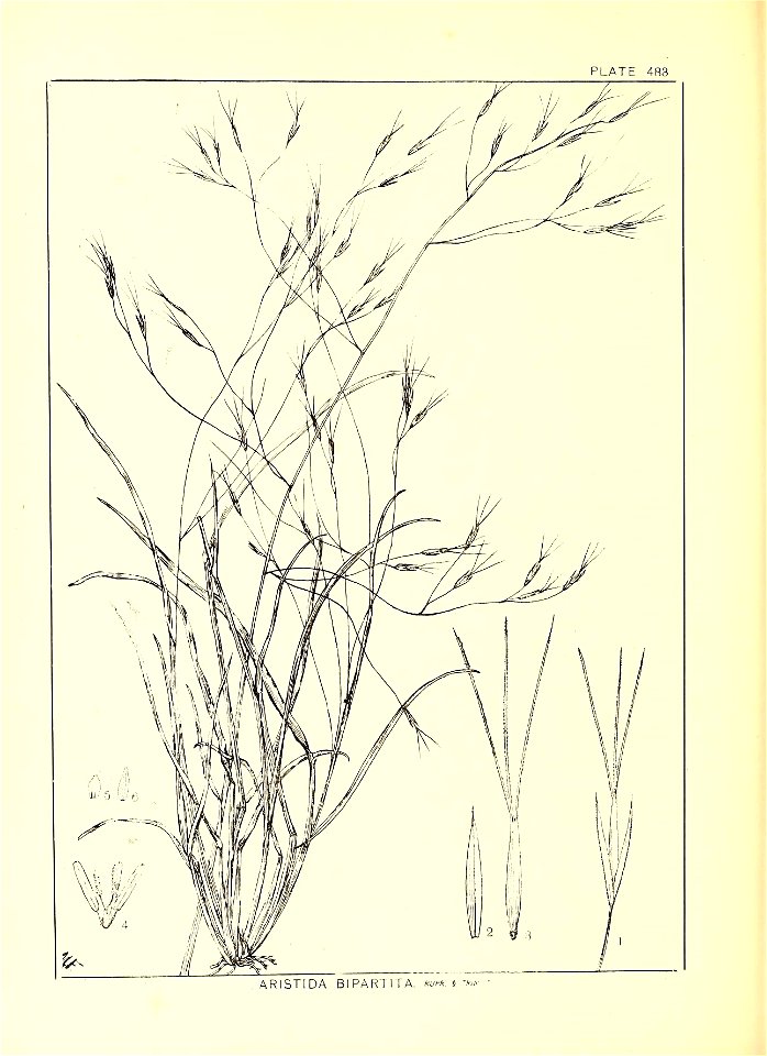 n277_w1150