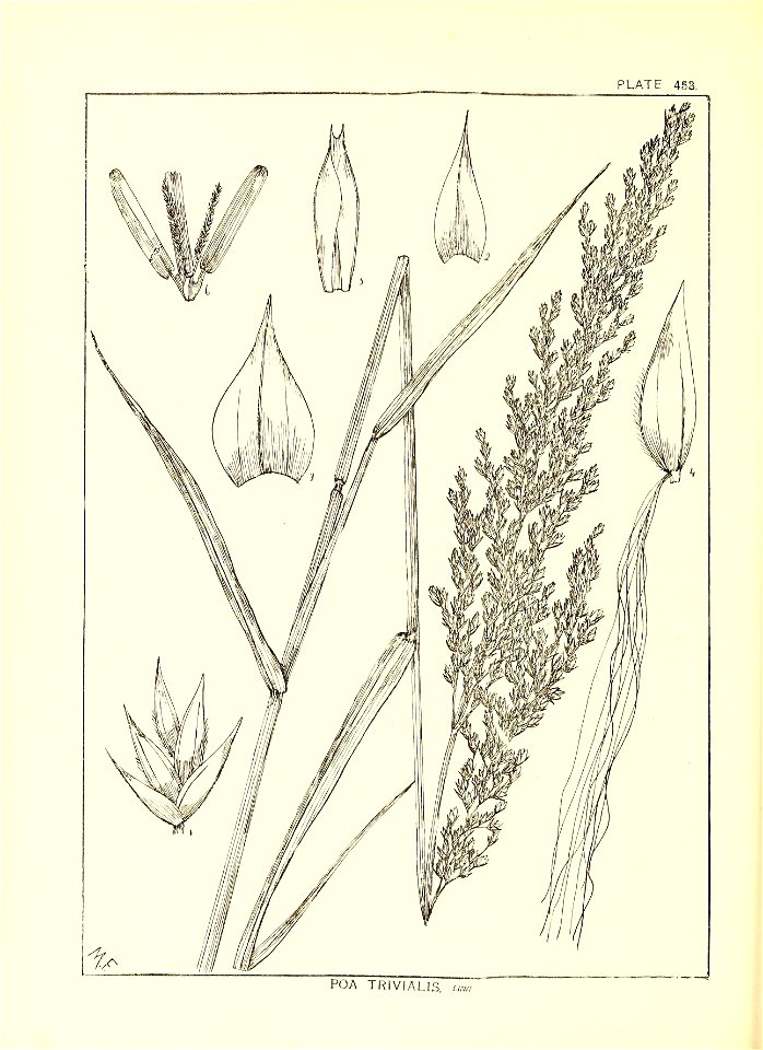 n181_w1150