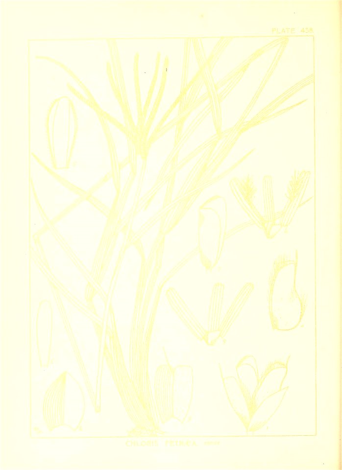 n131_w1150