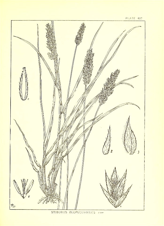 n178_w1150