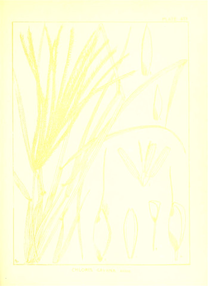 n128_w1150
