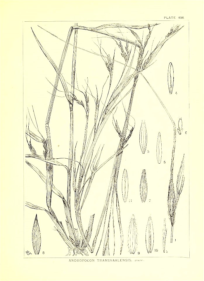 n316_w1150