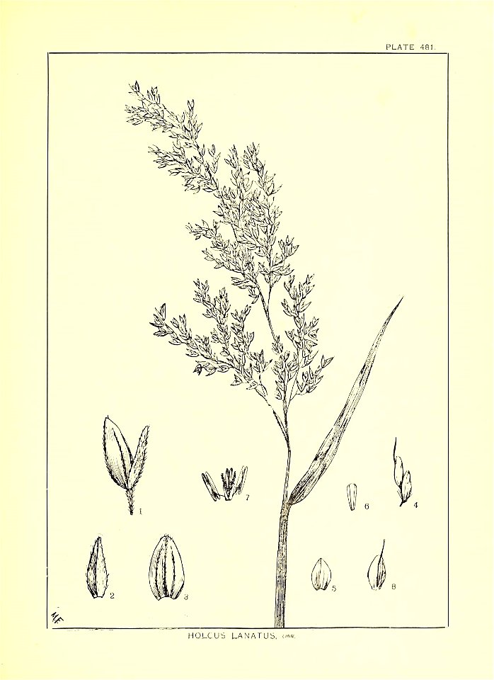 n270_w1150