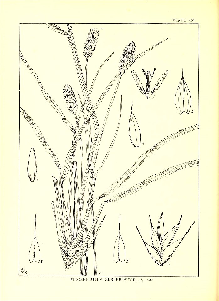 n175_w1150