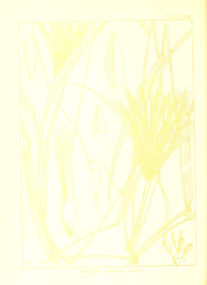 n125_w1150