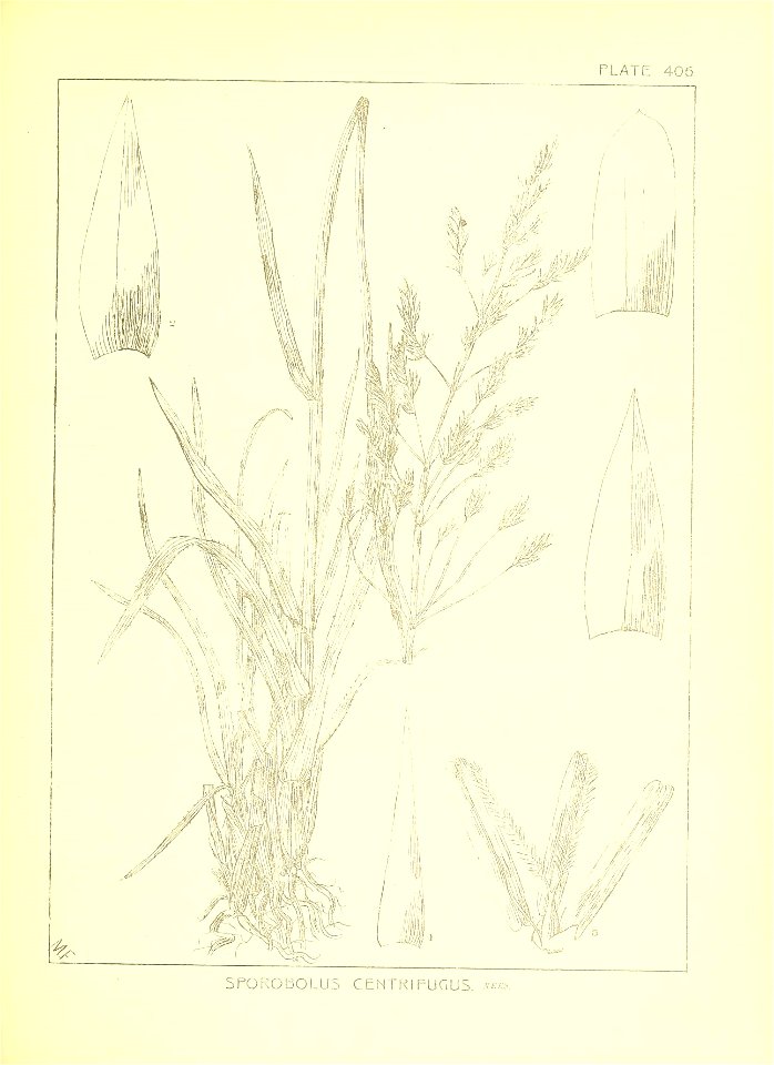 n30_w1150