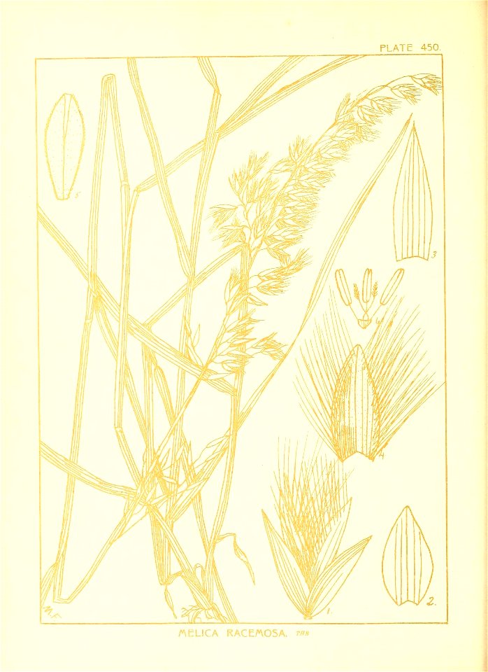 n167_w1150
