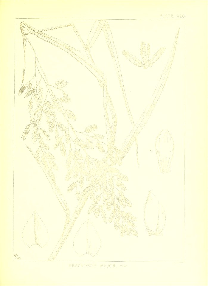 n72_w1150
