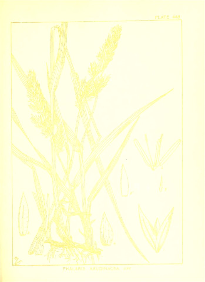 n164_w1150