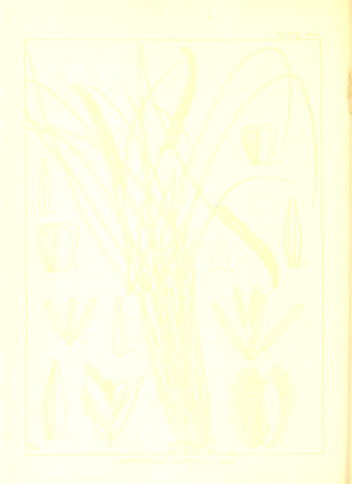 n119_w1150