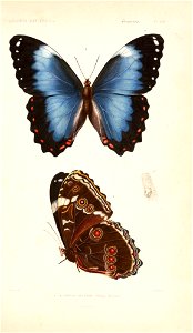 n94_w1150