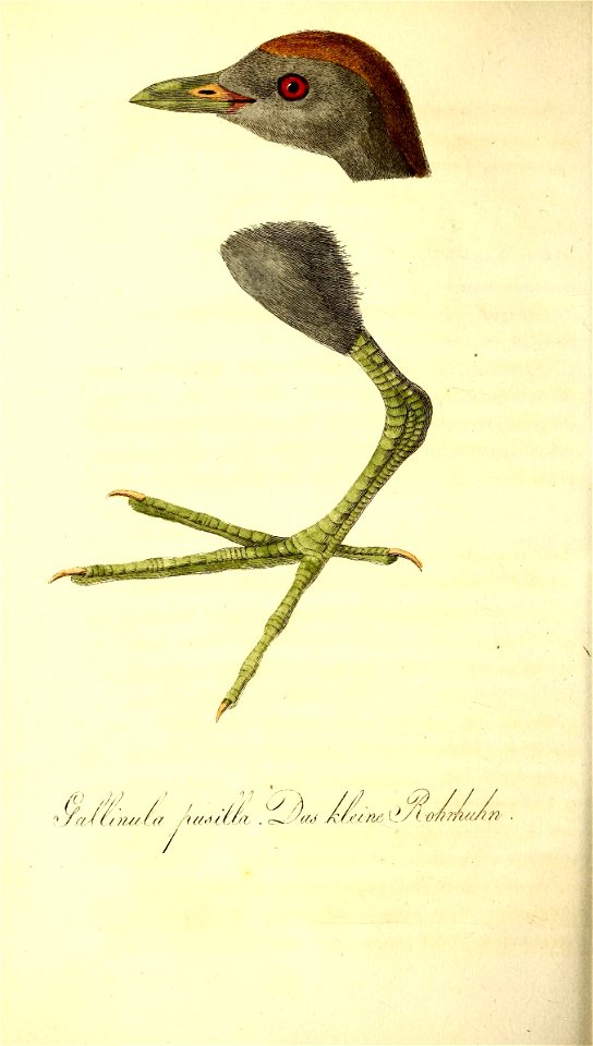n573_w1150