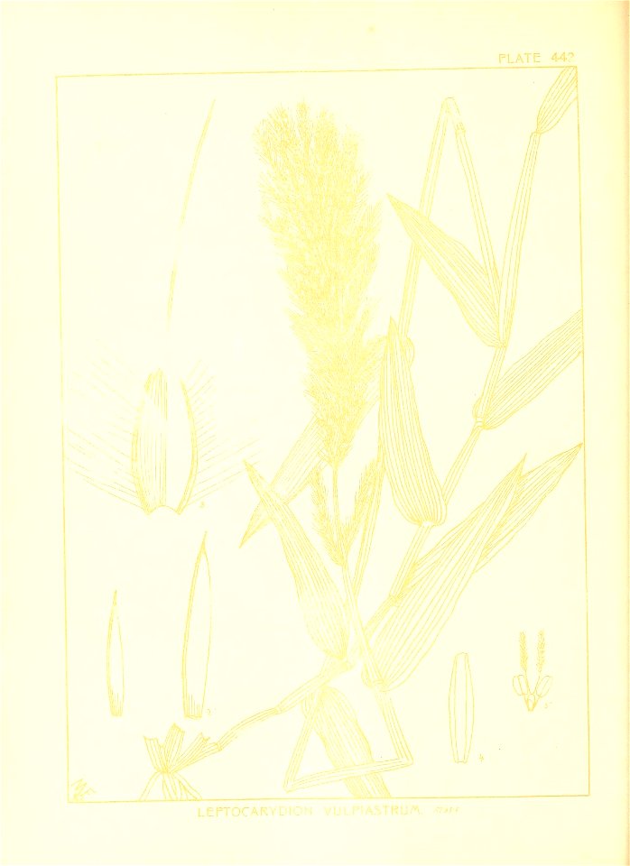 n143_w1150