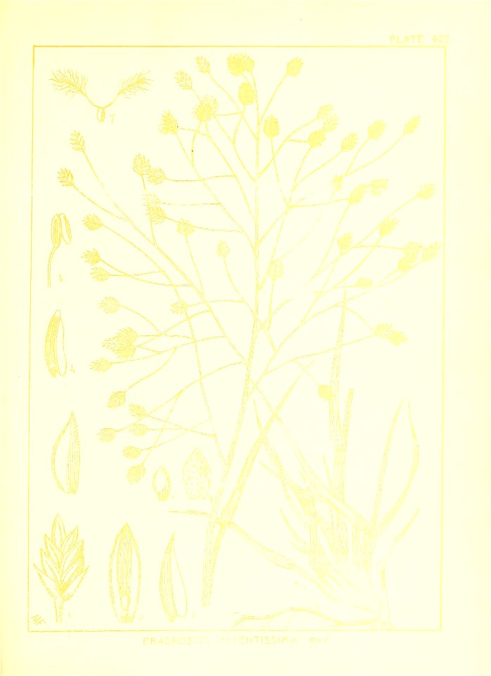 n98_w1150