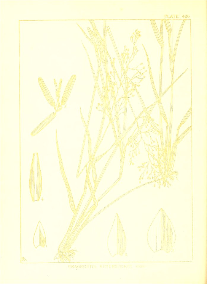 n95_w1150