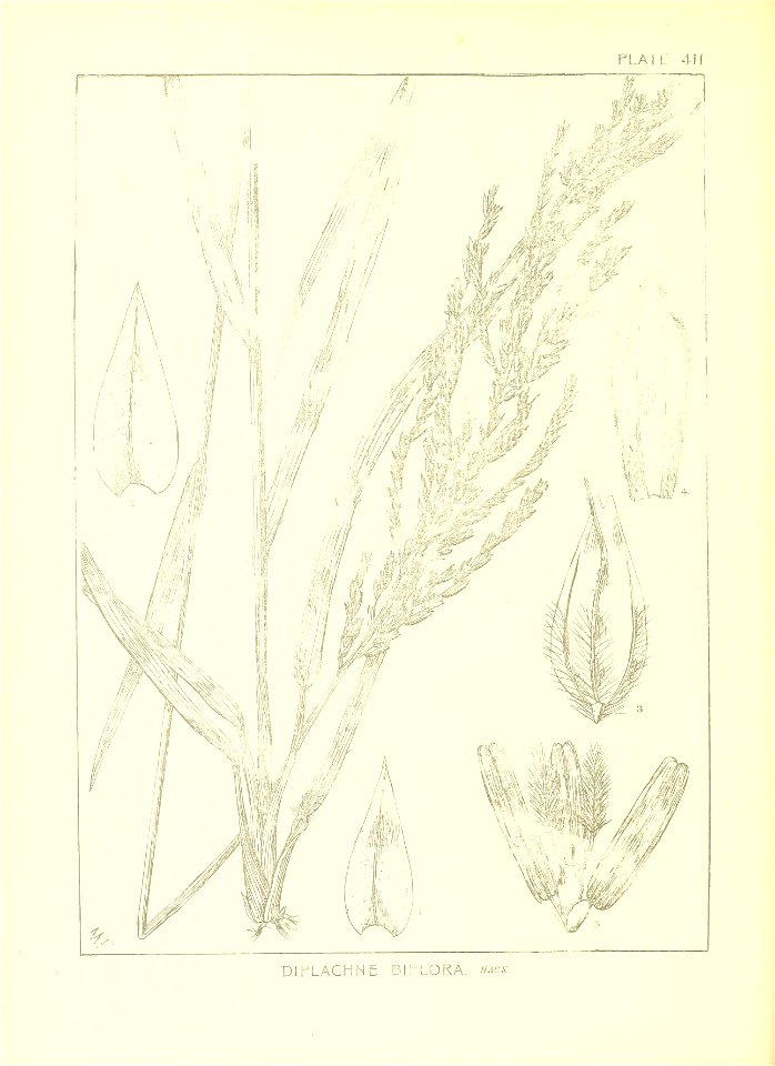 n45_w1150