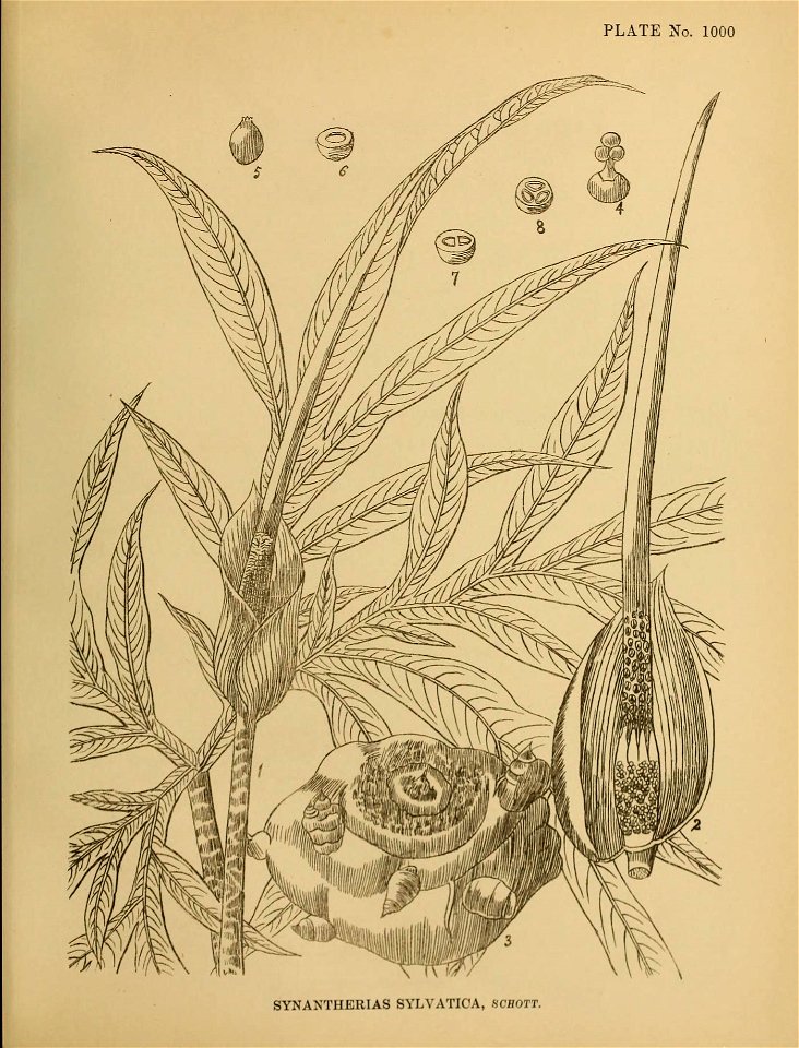 n548_w1150