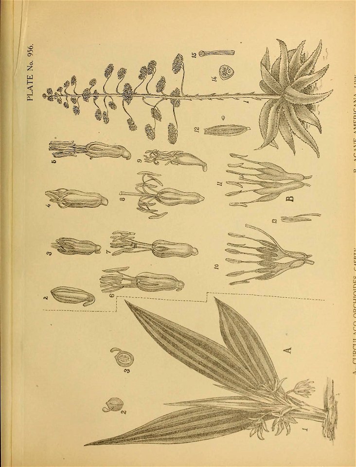 n402_w1150